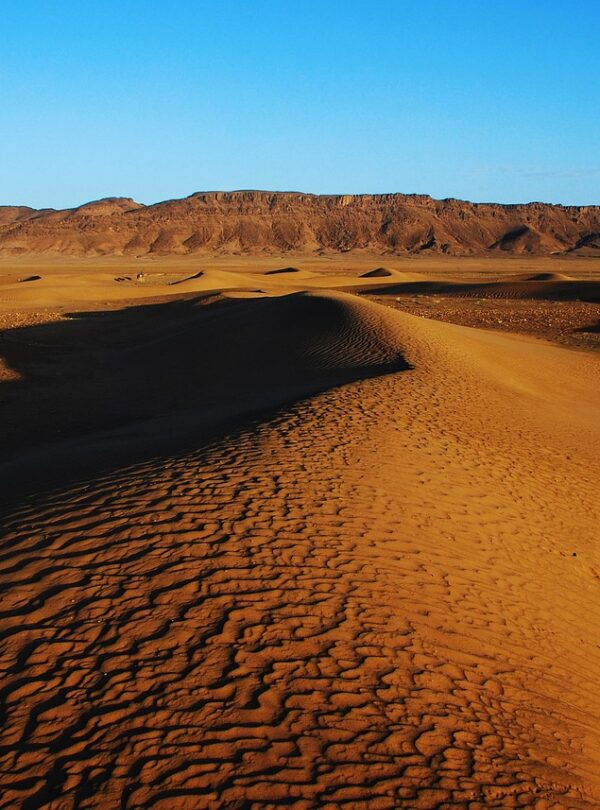 zagora, desert, morocco, sahara, africa, sand, travel, dune, summer, berber, arab, outdoor, extreme, dry, blue sky, orange, moroccan, mountain, nature, heat, arabic, landscape, sky, sun, sunny, horizon, horizontal, oasis, blue, yellow, exotic, hot, tourism